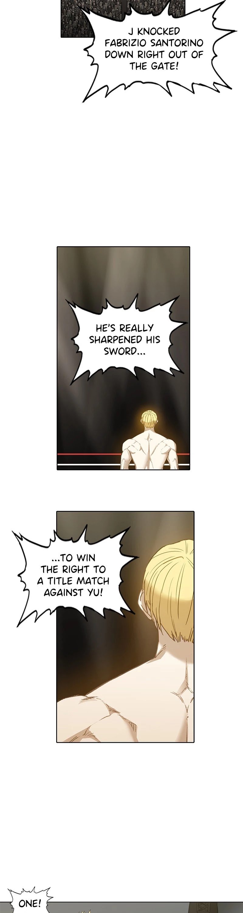 Read The Boxer (en) Manga Online