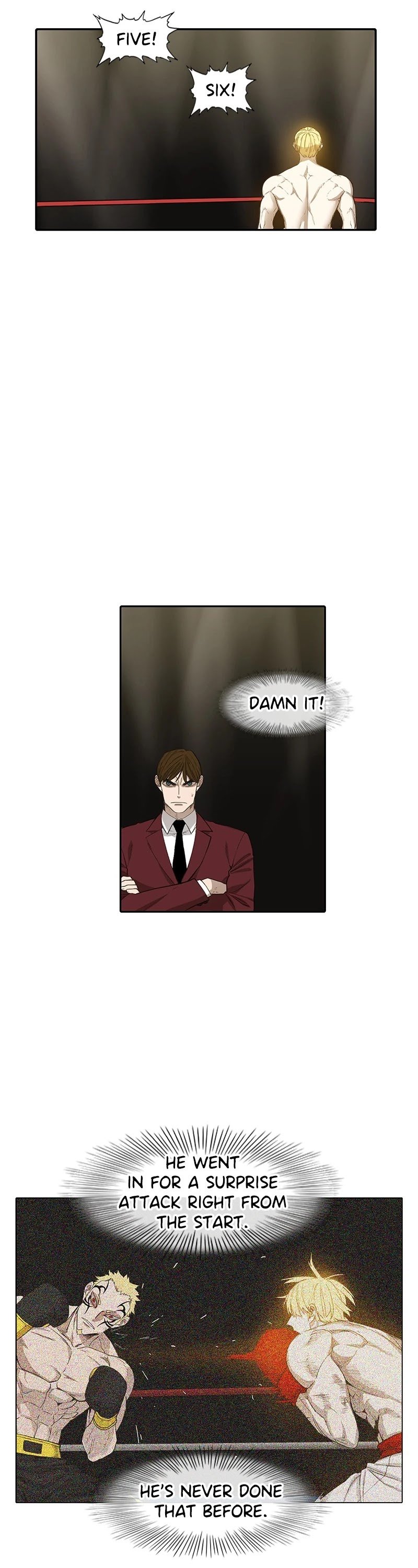 Read The Boxer (en) Manga Online