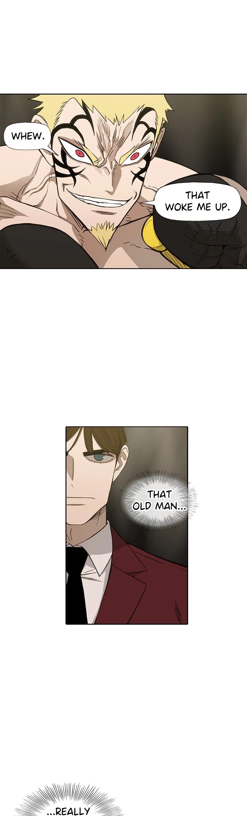 Read The Boxer (en) Manga Online