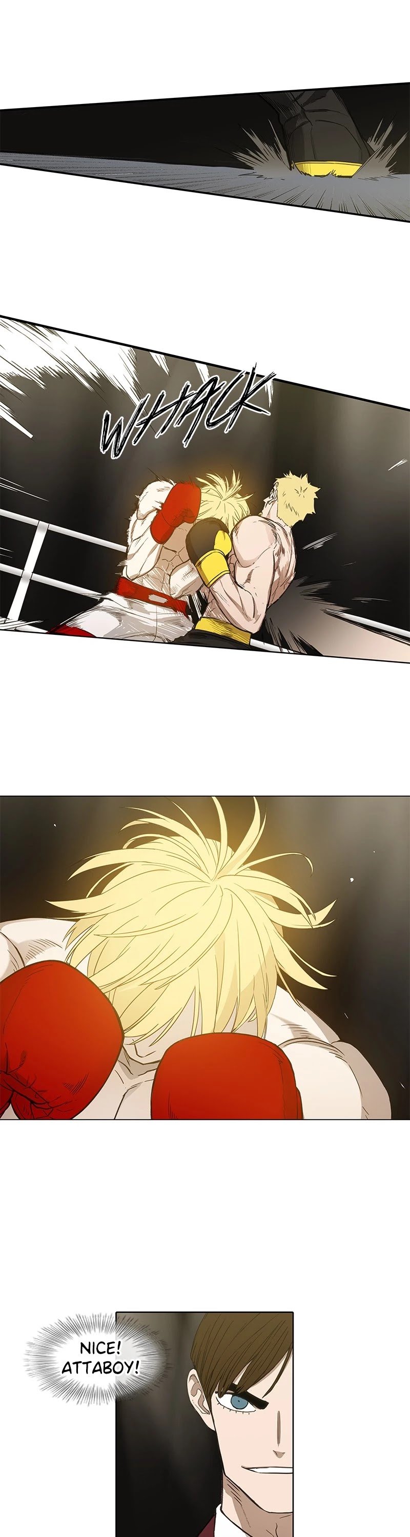 Read The Boxer (en) Manga Online