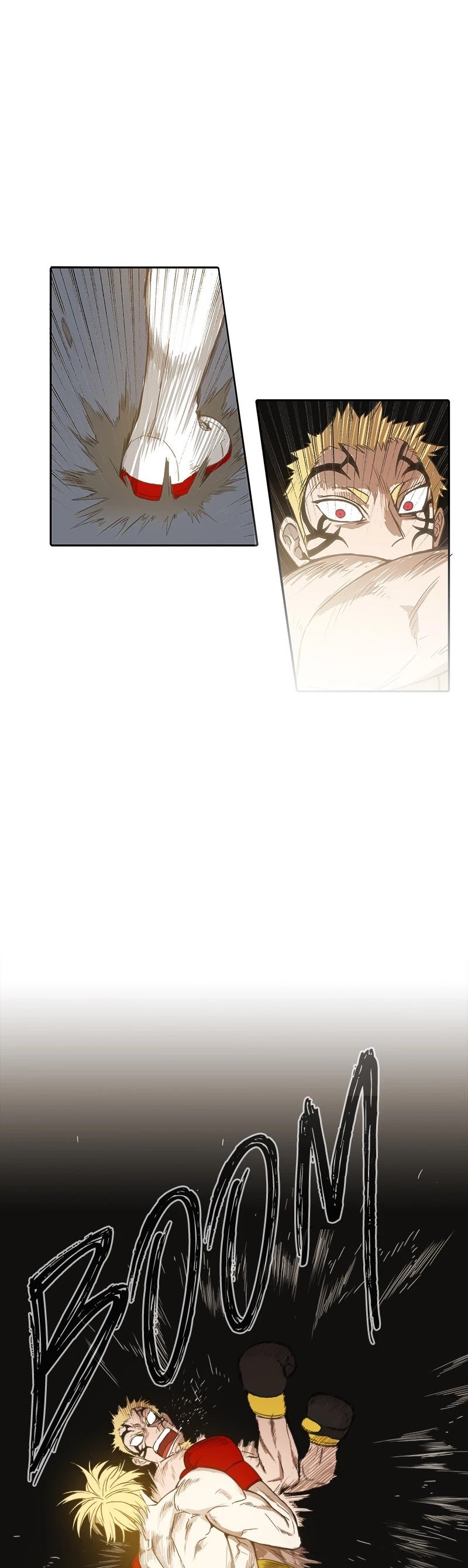 Read The Boxer (en) Manga Online