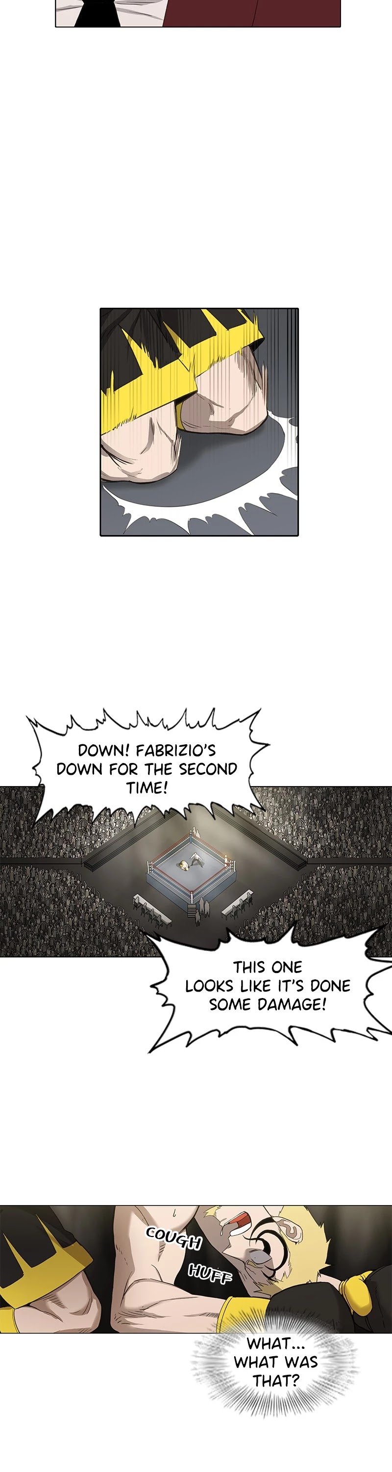 Read The Boxer (en) Manga Online