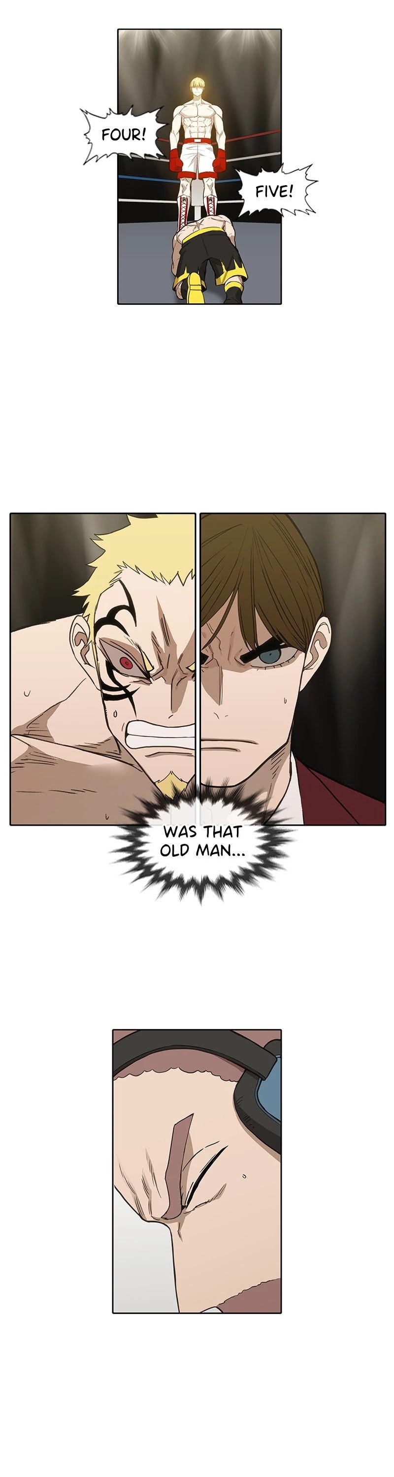 Read The Boxer (en) Manga Online