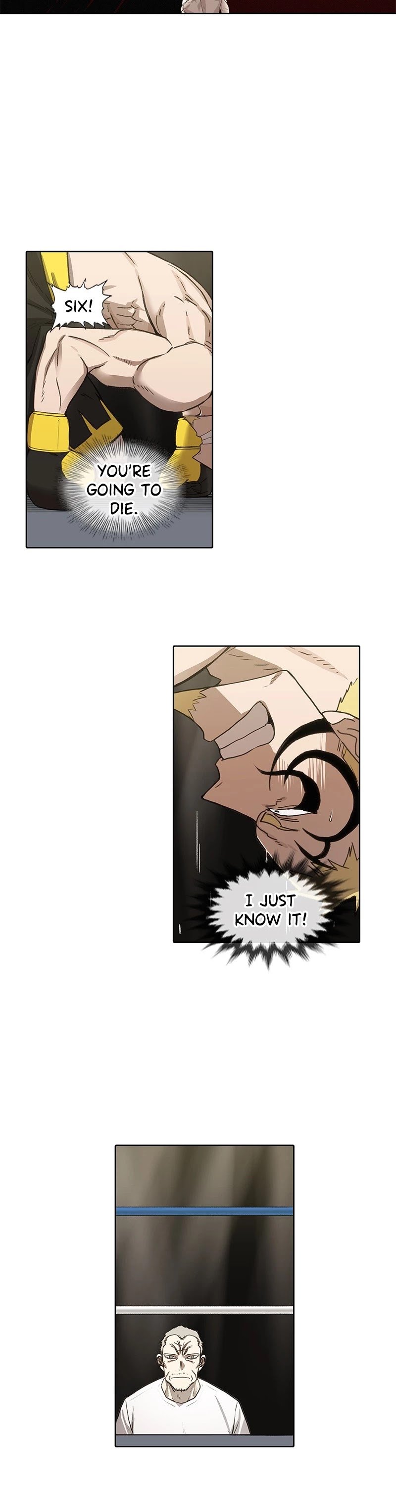 Read The Boxer (en) Manga Online