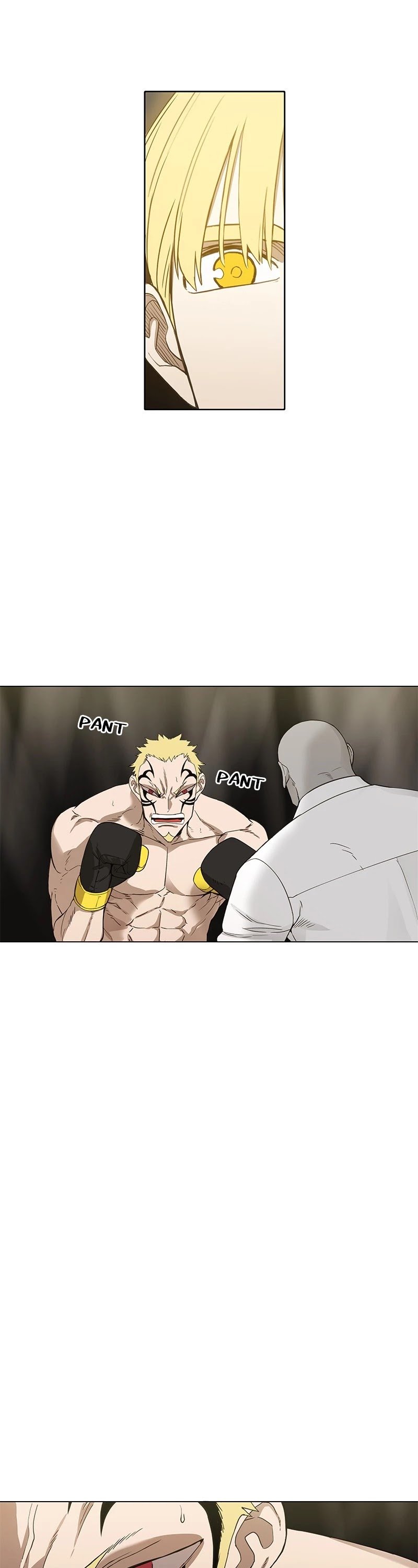 Read The Boxer (en) Manga Online