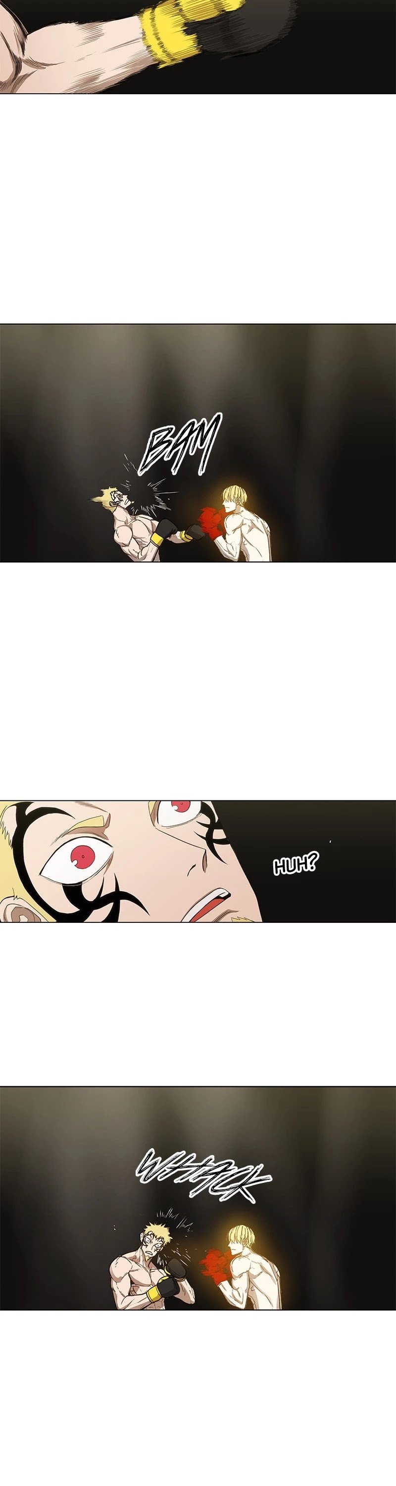 Read The Boxer (en) Manga Online