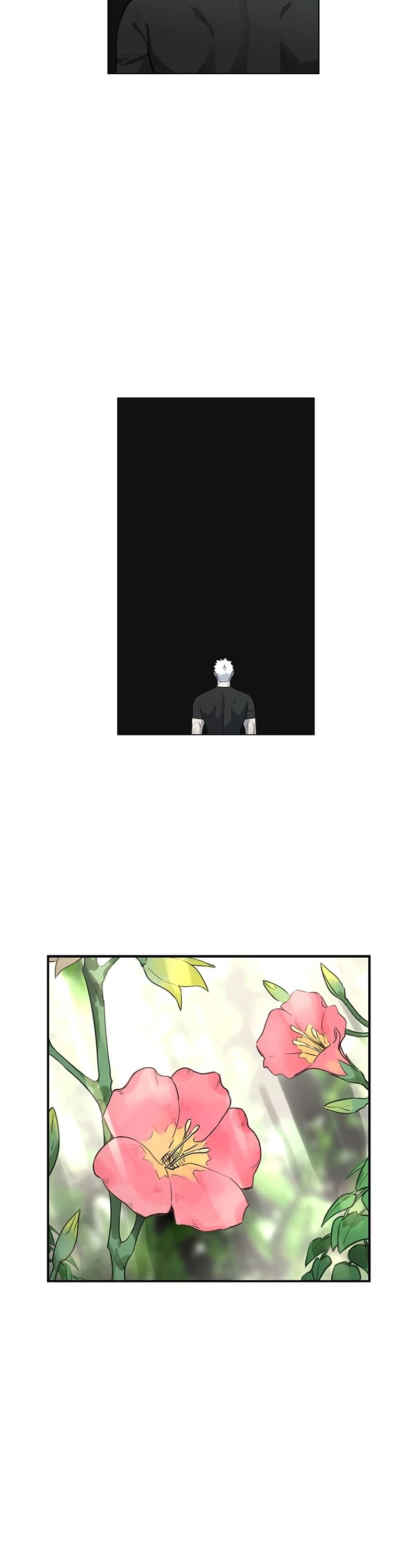 Read The Boxer (en) Manga Online