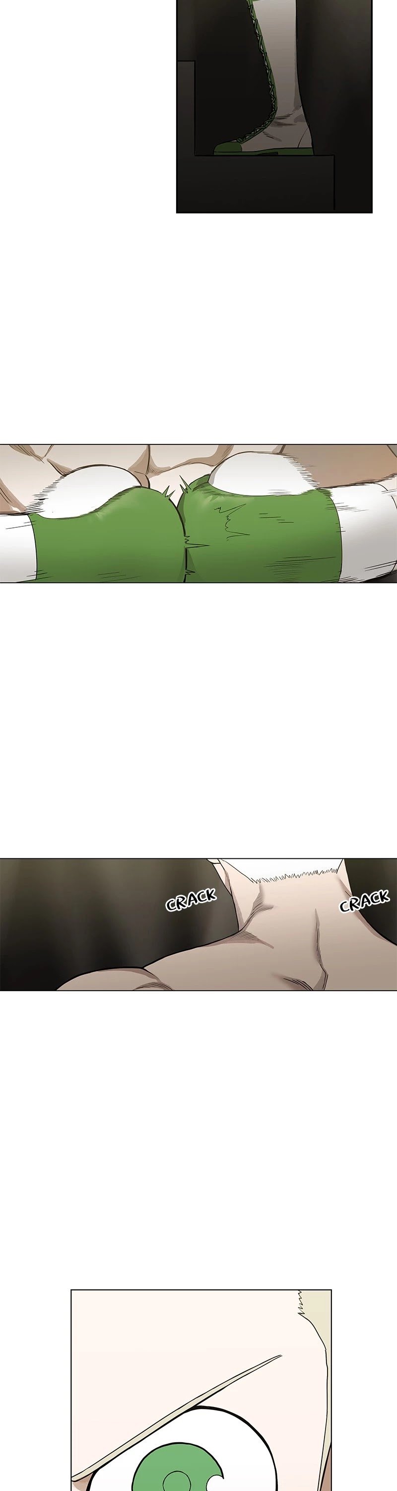 Read The Boxer (en) Manga Online