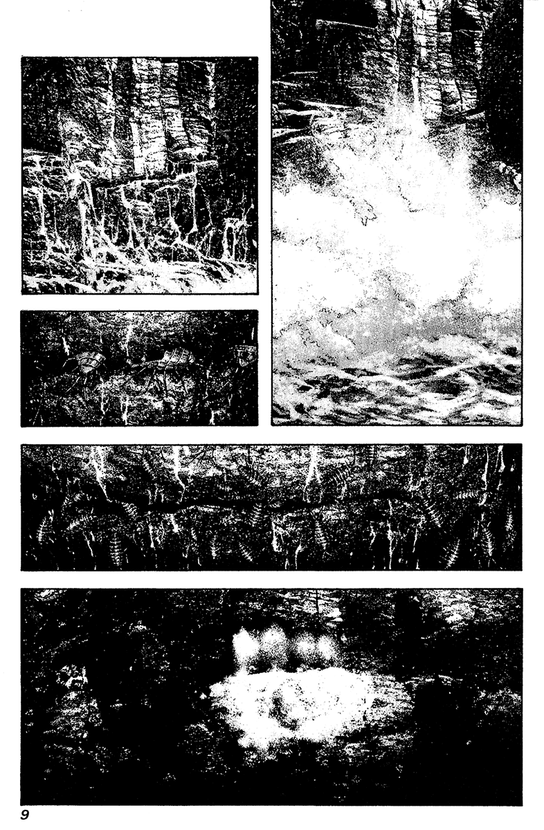 Read The Climber (en) Manga Online