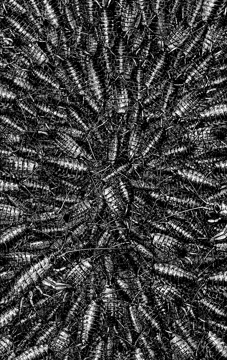 Read The Climber (en) Manga Online