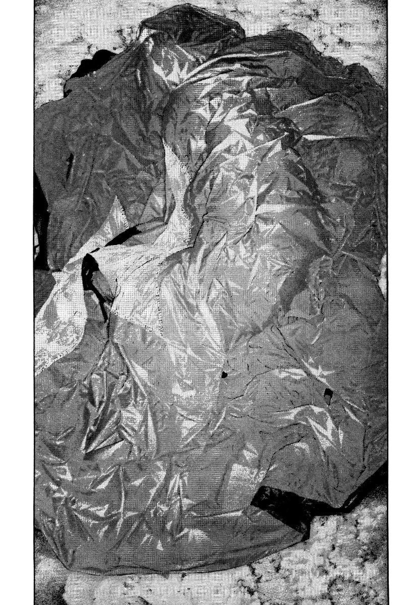 Read The Climber (en) Manga Online