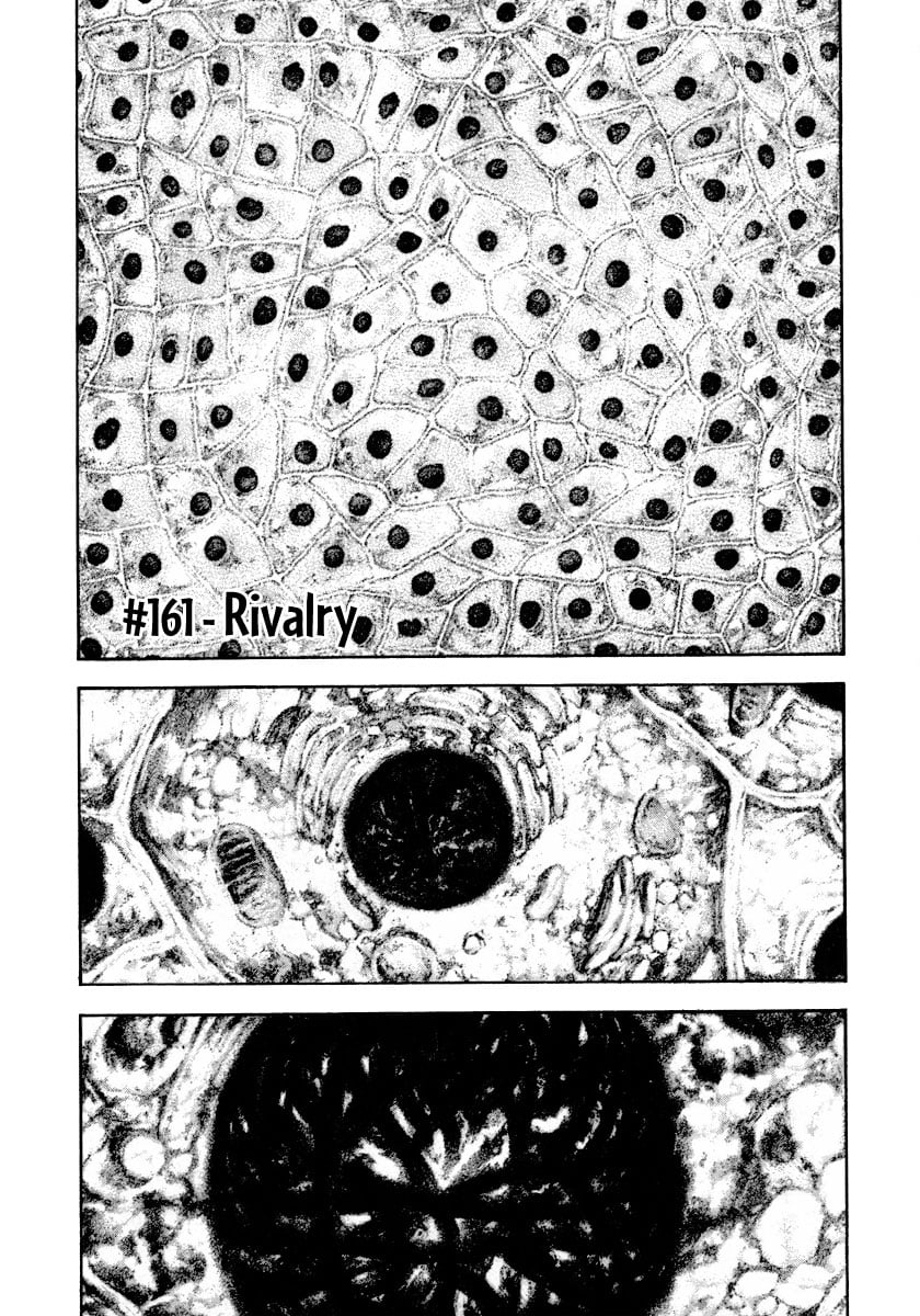 Read The Climber (en) Manga Online