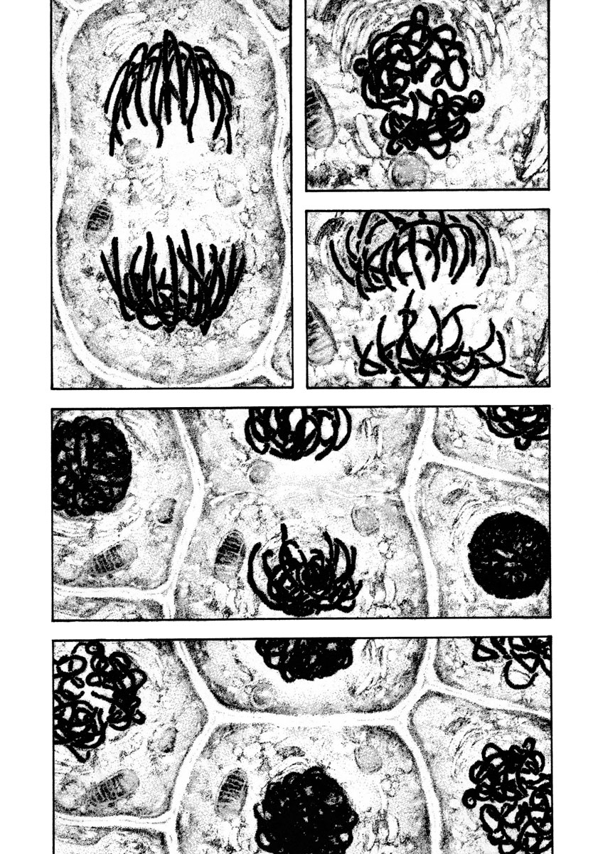 Read The Climber (en) Manga Online