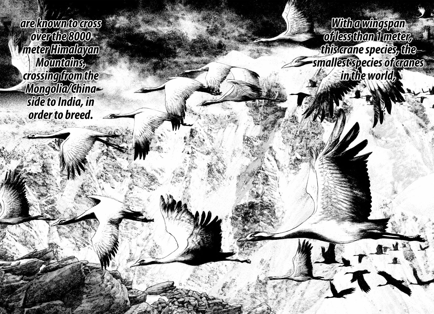 Read The Climber (en) Manga Online
