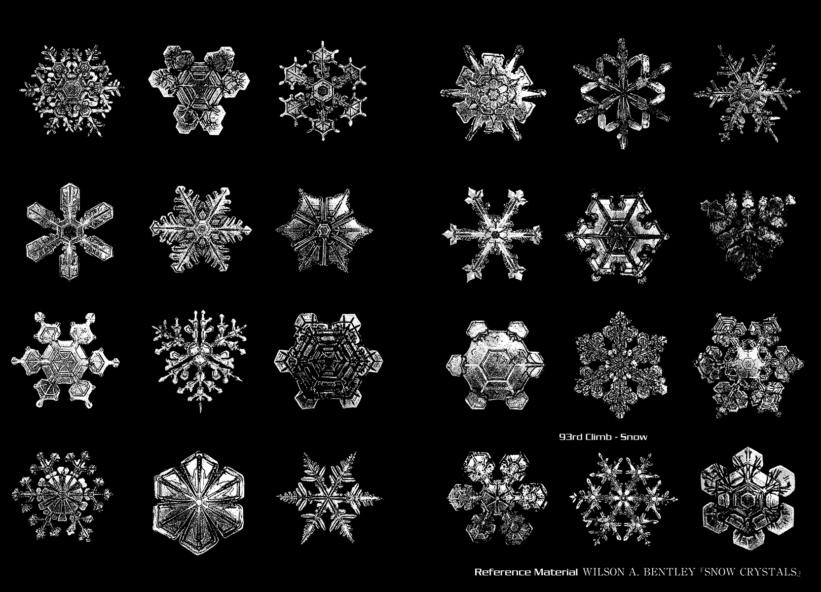 Read The Climber (en) Manga Online