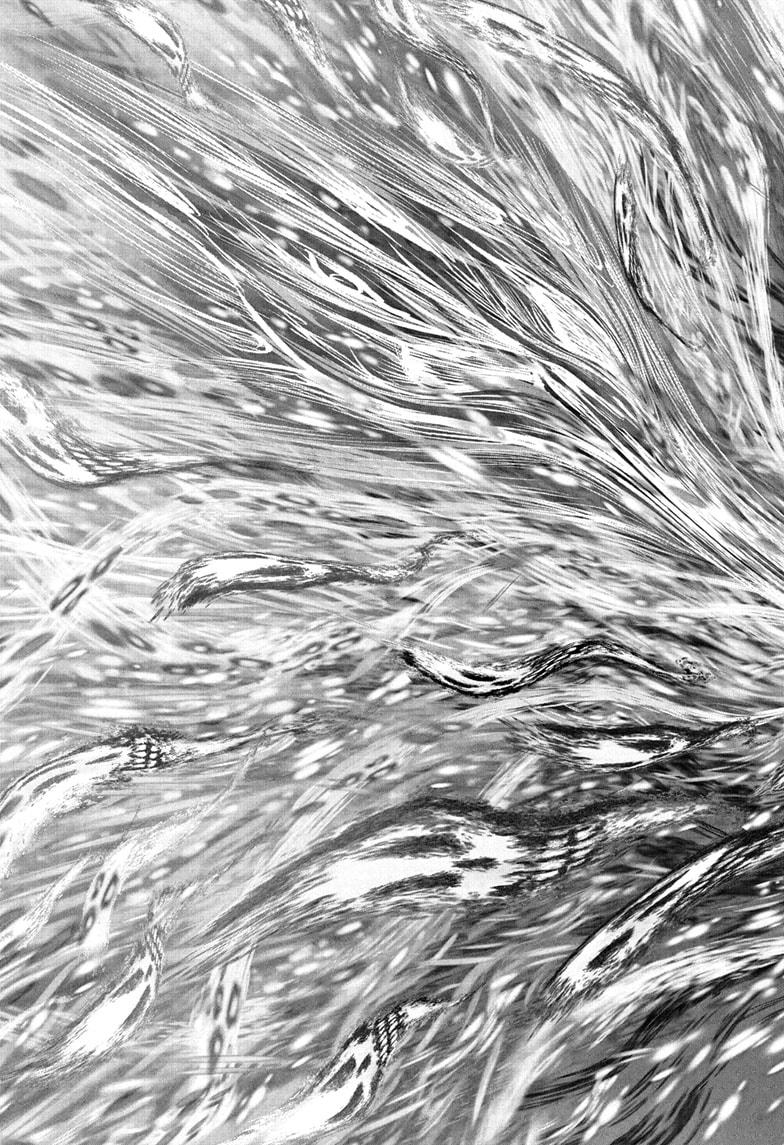 Read The Elusive Samurai (en) Manga Online