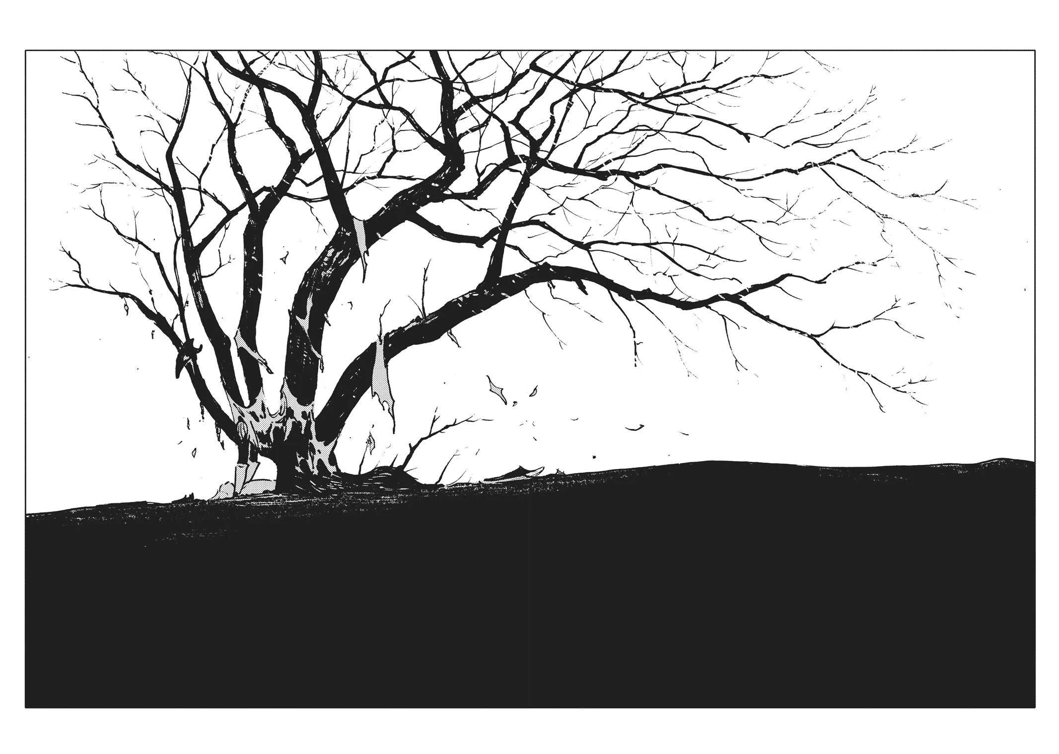Read The Girl From the Other Side - Siúil, a Rún (en) Manga Online