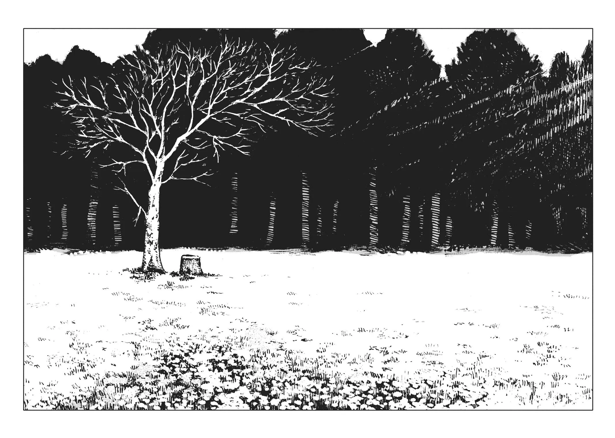 Read The Girl From the Other Side - Siúil, a Rún (en) Manga Online