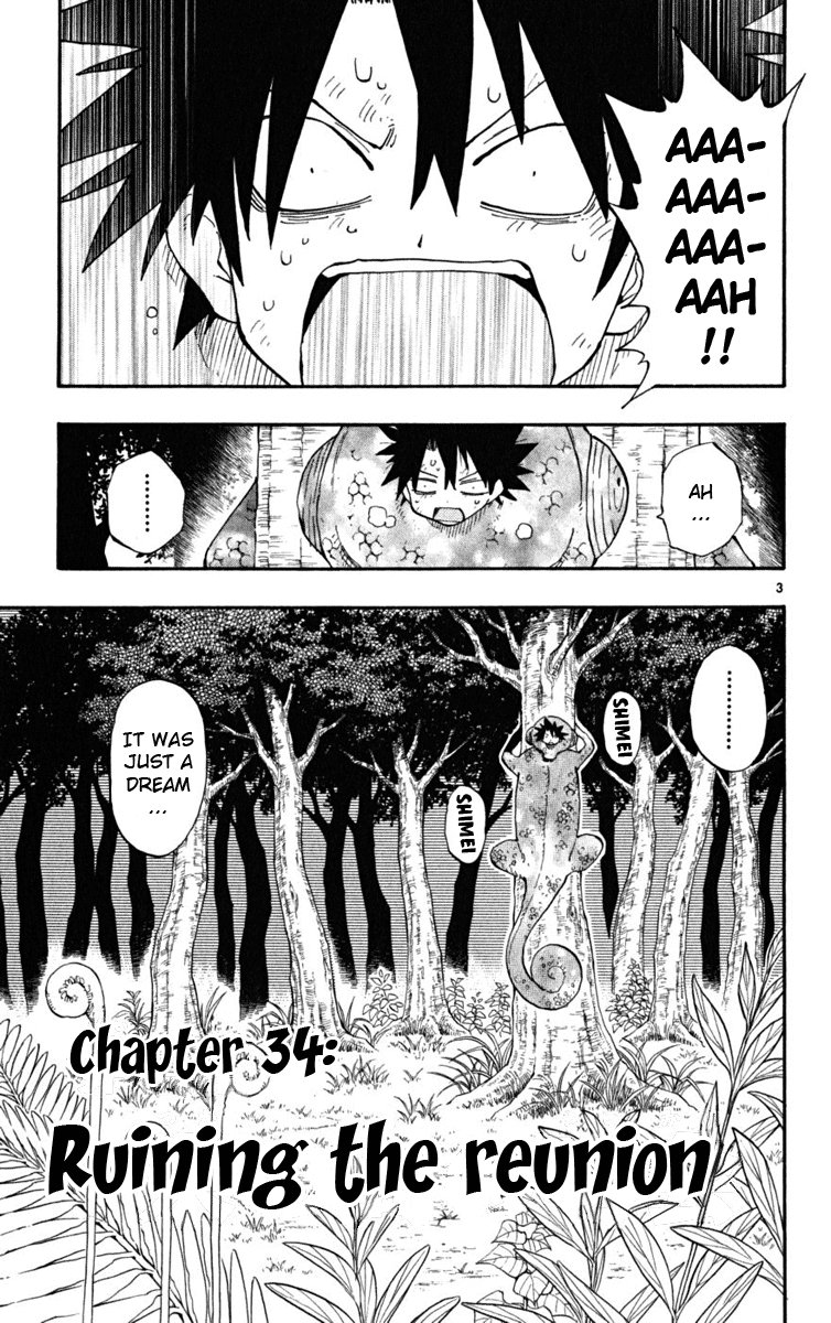 Read The Law of Ueki Plus (en) Manga Online