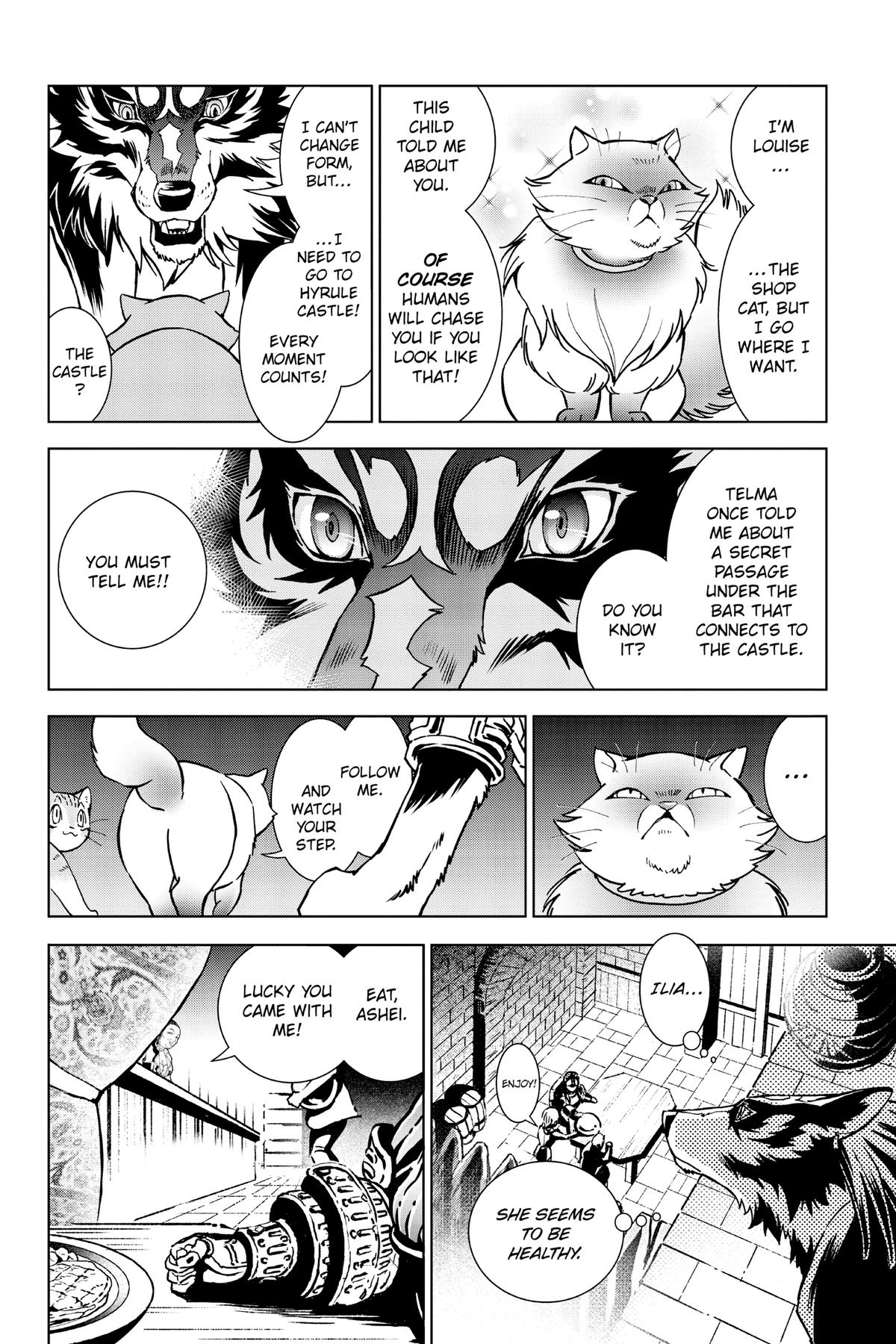 Read The Legend of Zelda_ Twilight Princess (en) Manga Online