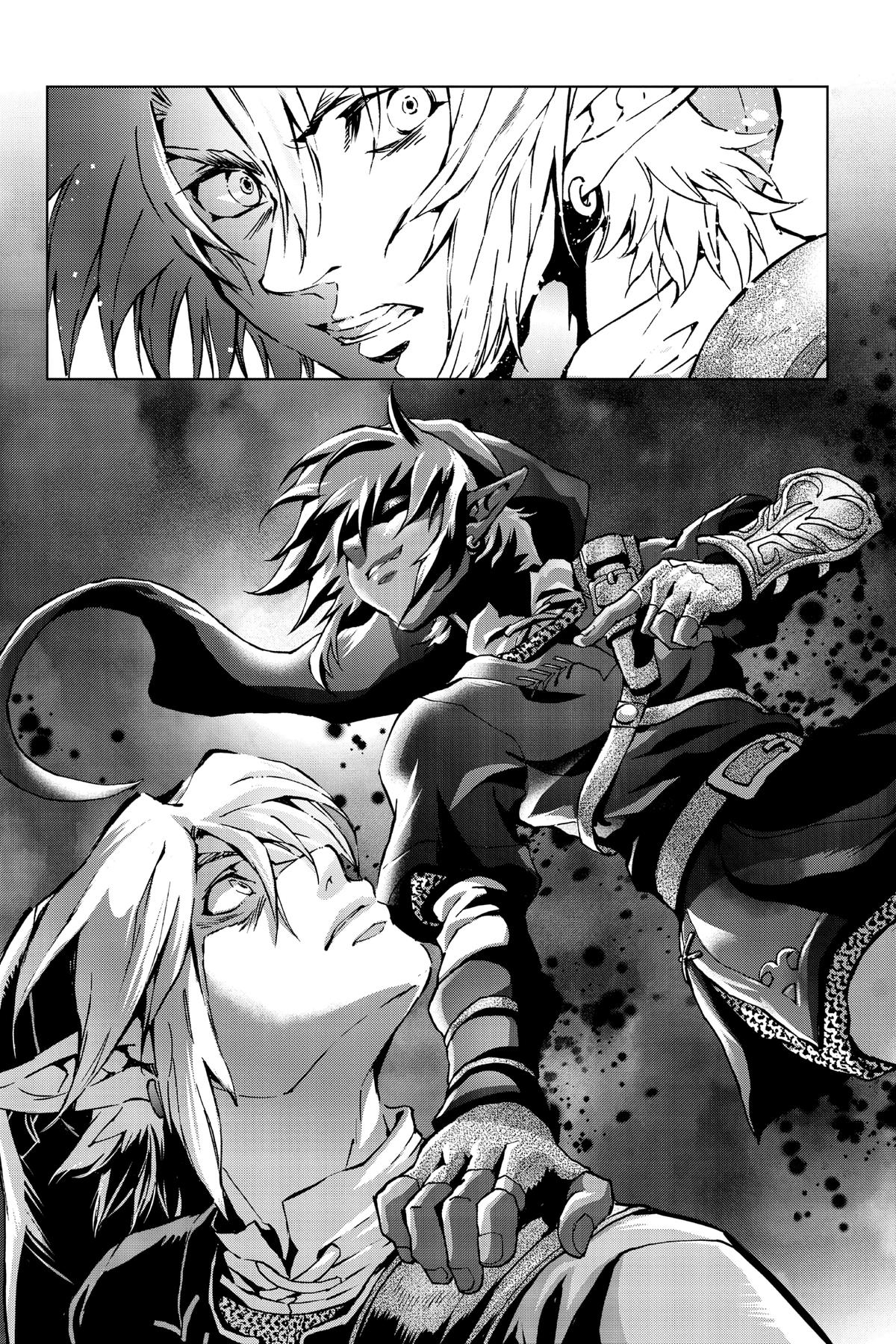 Read The Legend of Zelda_ Twilight Princess (en) Manga Online