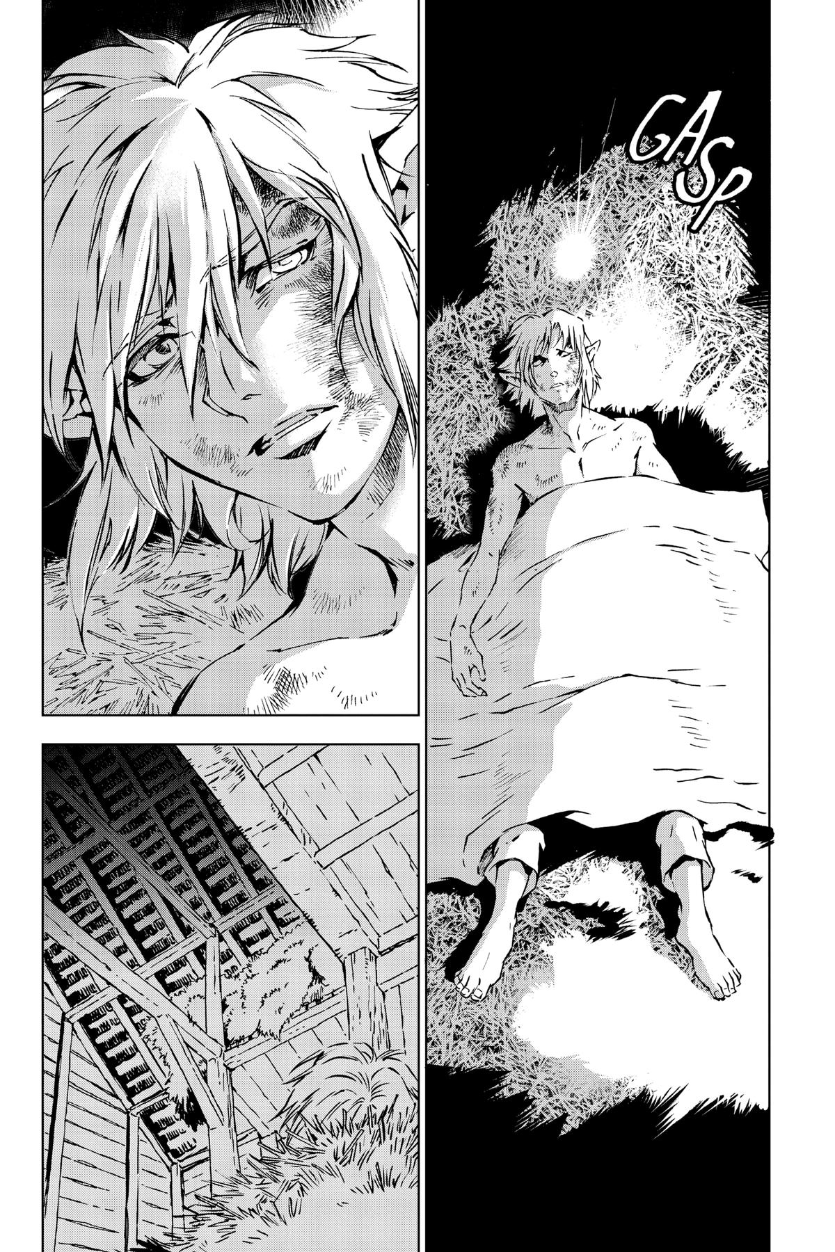 Read The Legend of Zelda_ Twilight Princess (en) Manga Online