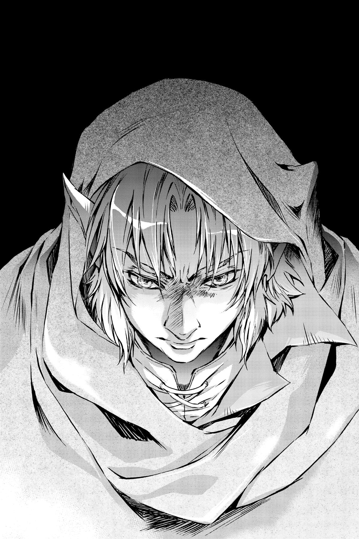 Read The Legend of Zelda_ Twilight Princess (en) Manga Online