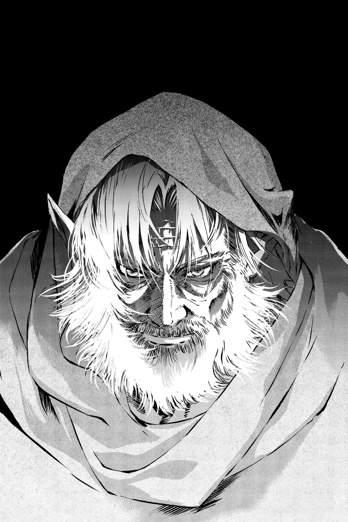 Read The Legend of Zelda_ Twilight Princess (en) Manga Online