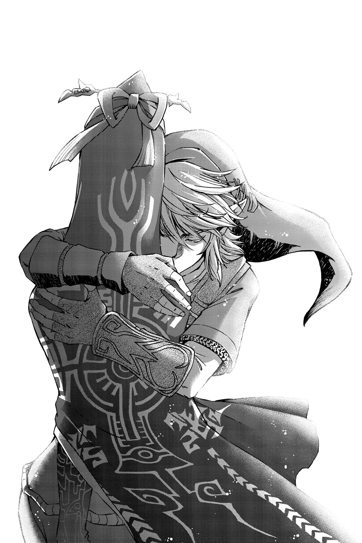 Read The Legend of Zelda_ Twilight Princess (en) Manga Online