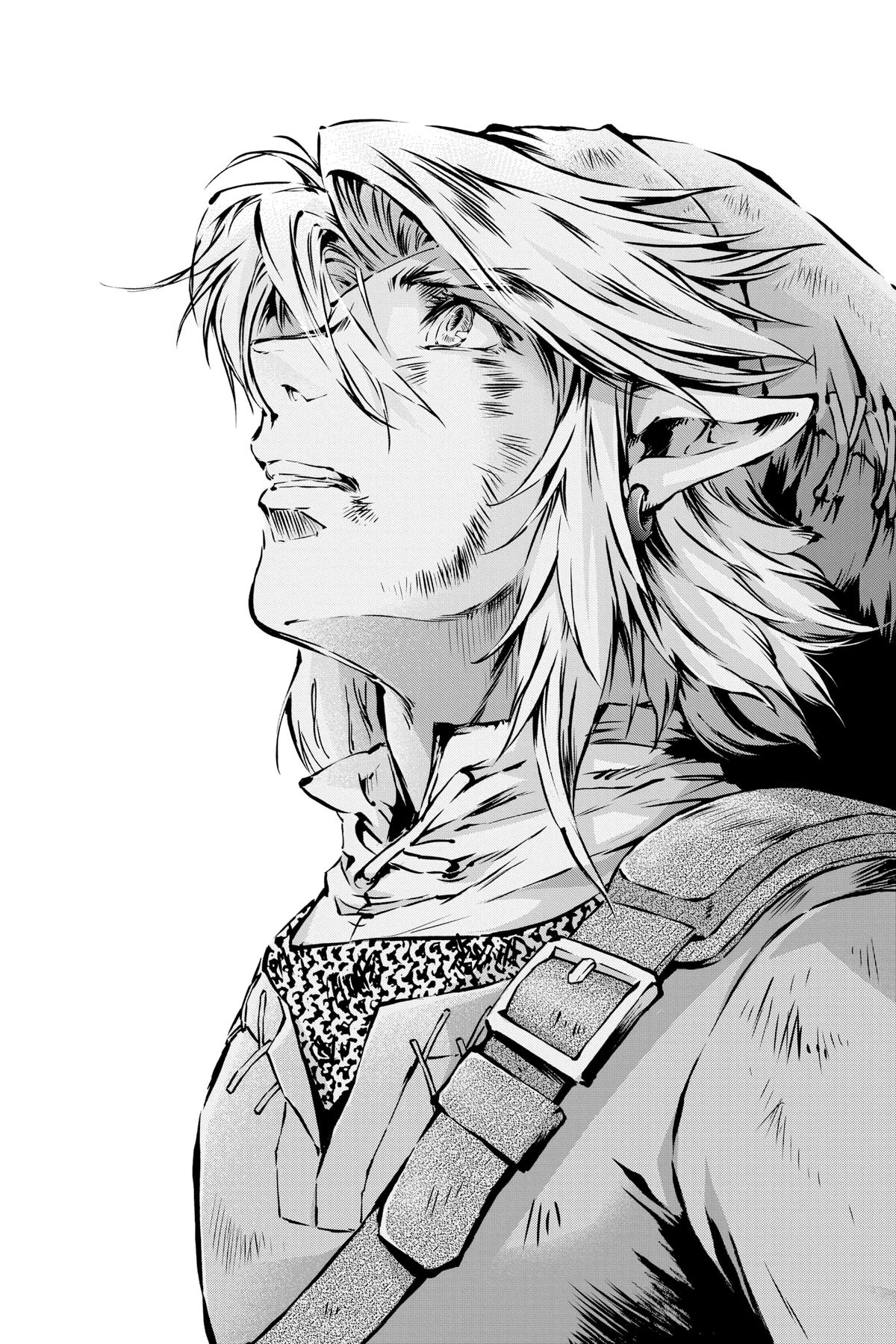 Read The Legend of Zelda_ Twilight Princess (en) Manga Online