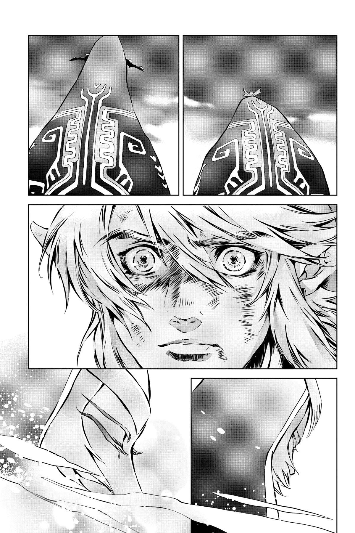 Read The Legend of Zelda_ Twilight Princess (en) Manga Online
