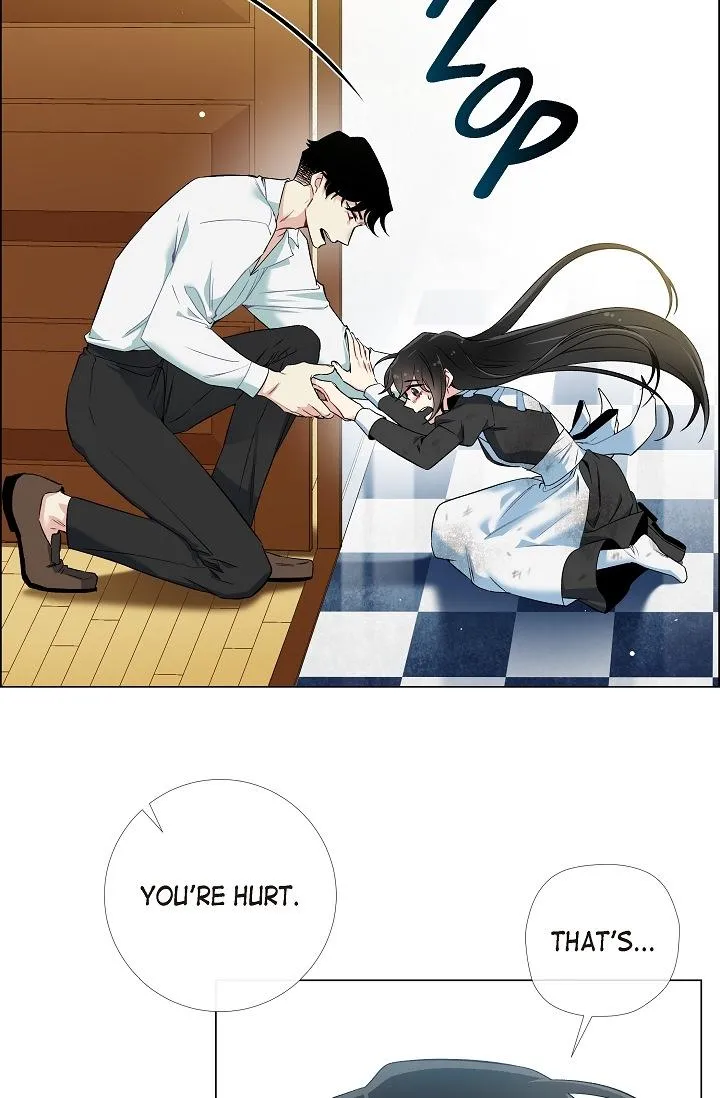 Read The Maid and the Vampire (en) Manga Online