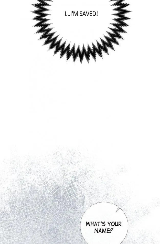 Read The Maid and the Vampire (en) Manga Online