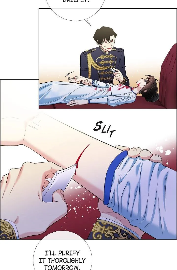 Read The Maid and the Vampire (en) Manga Online