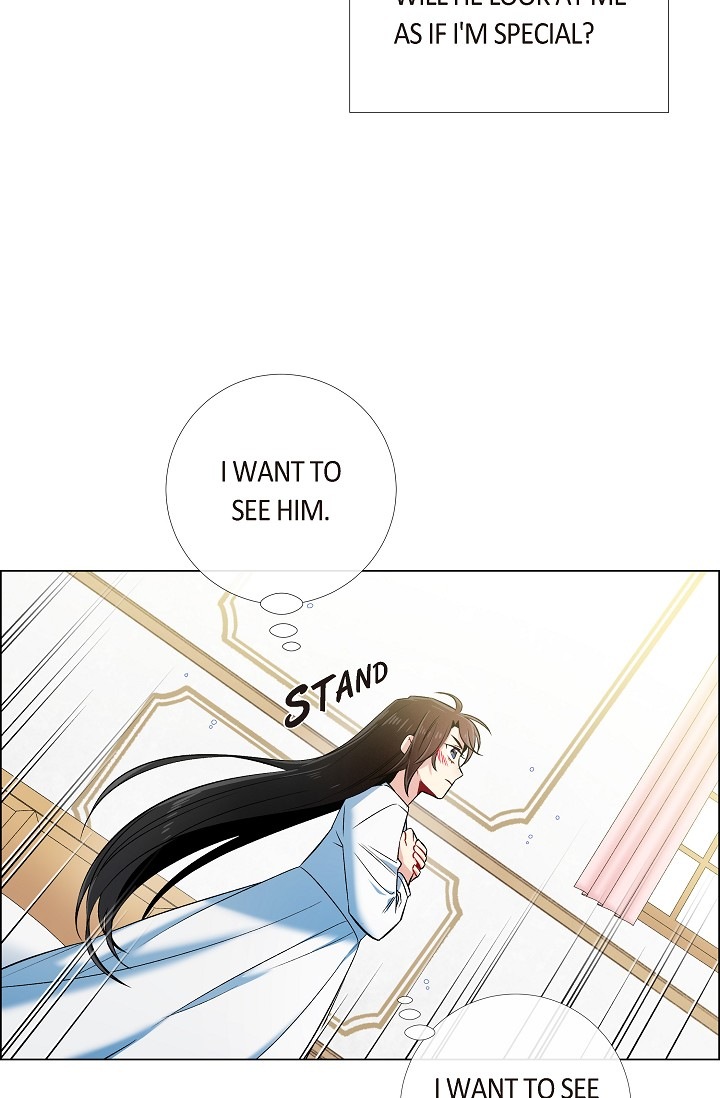 Read The Maid and the Vampire (en) Manga Online