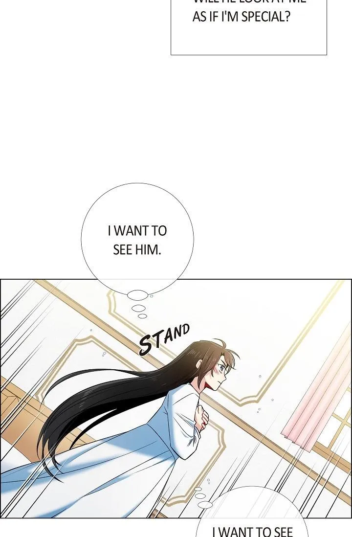 Read The Maid and the Vampire (en) Manga Online