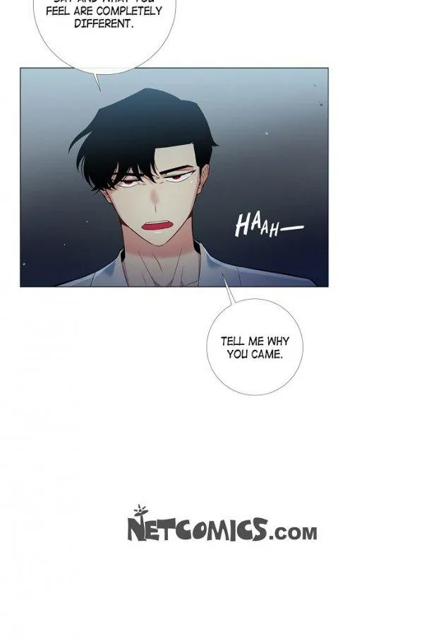Read The Maid and the Vampire (en) Manga Online