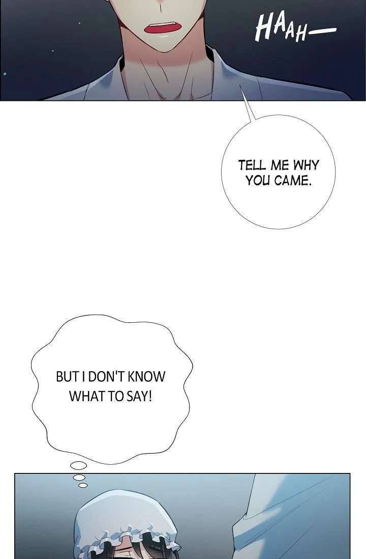 Read The Maid and the Vampire (en) Manga Online