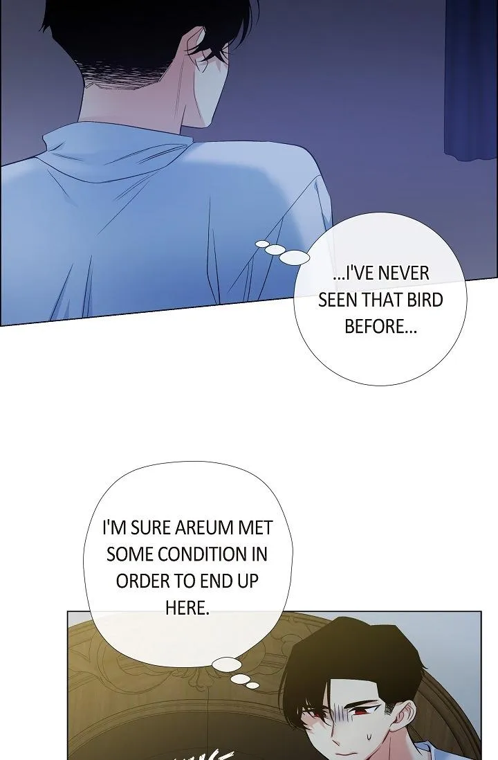 Read The Maid and the Vampire (en) Manga Online