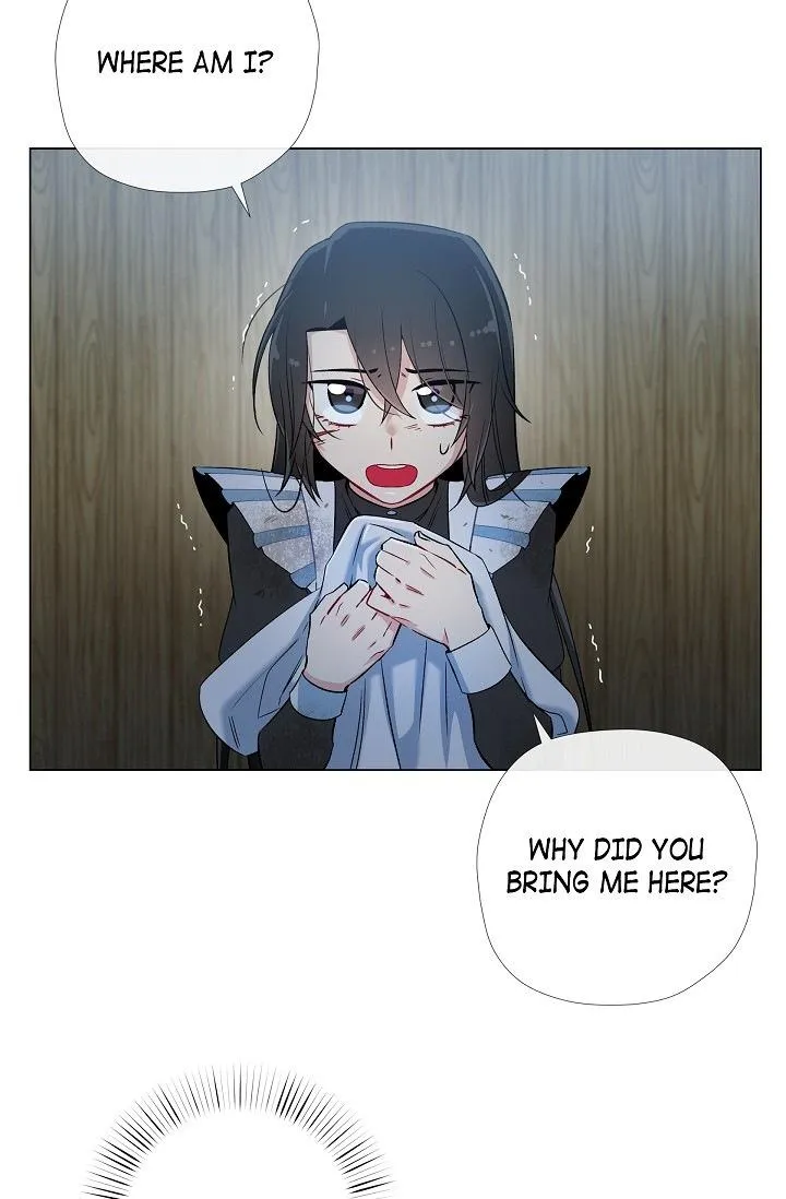 Read The Maid and the Vampire (en) Manga Online