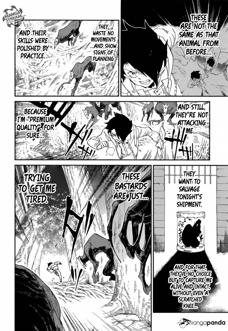 Read The Promised Neverland (en) Manga Online