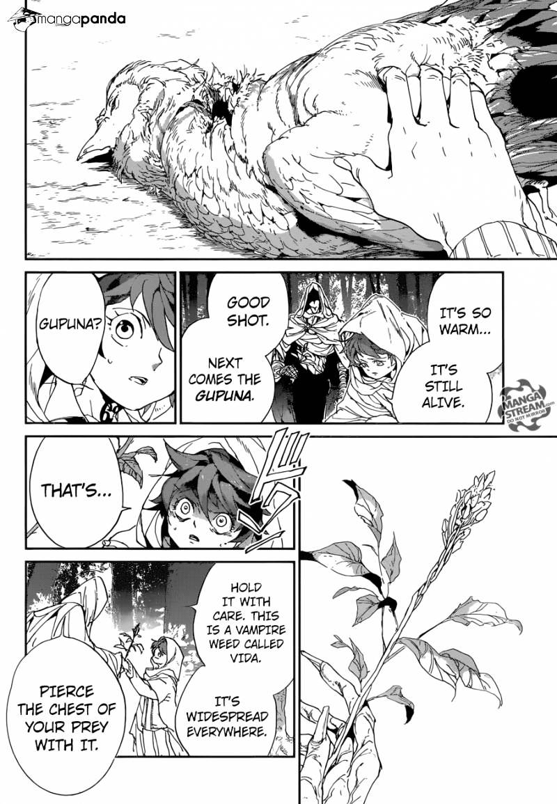 Read The Promised Neverland (en) Manga Online