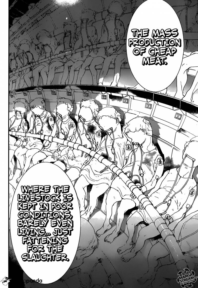 Read The Promised Neverland (en) Manga Online