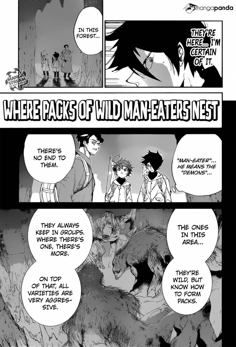 Read The Promised Neverland (en) Manga Online