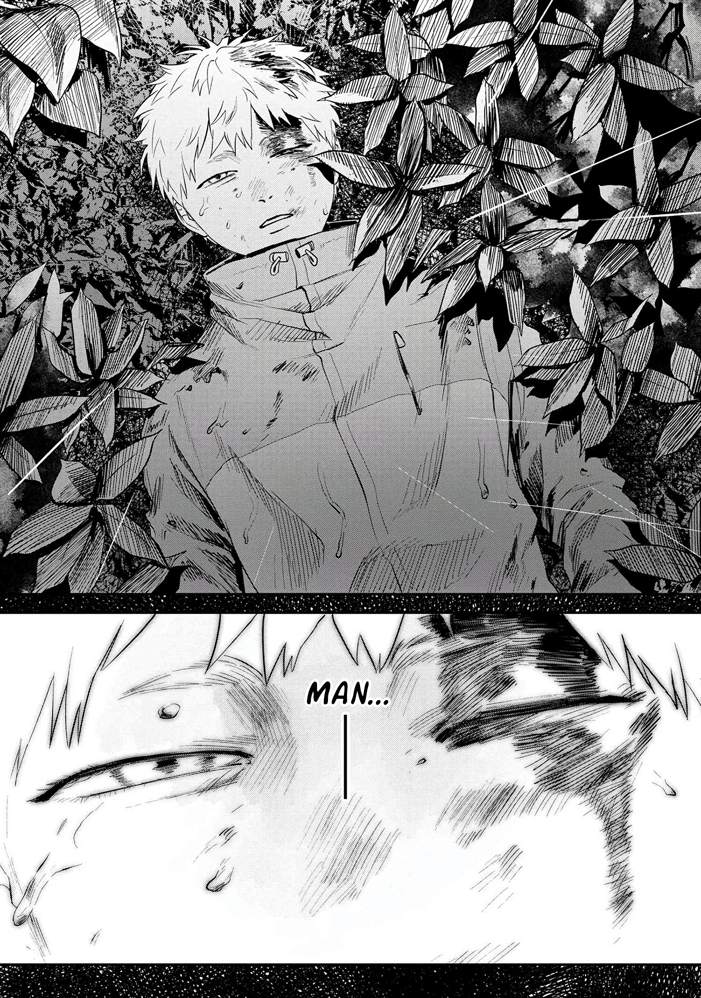 Read The Summer Hikaru Died (en) Manga Online