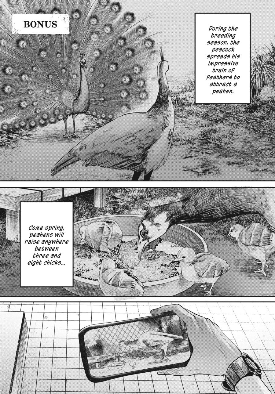 Read The Summer Hikaru Died (en) Manga Online