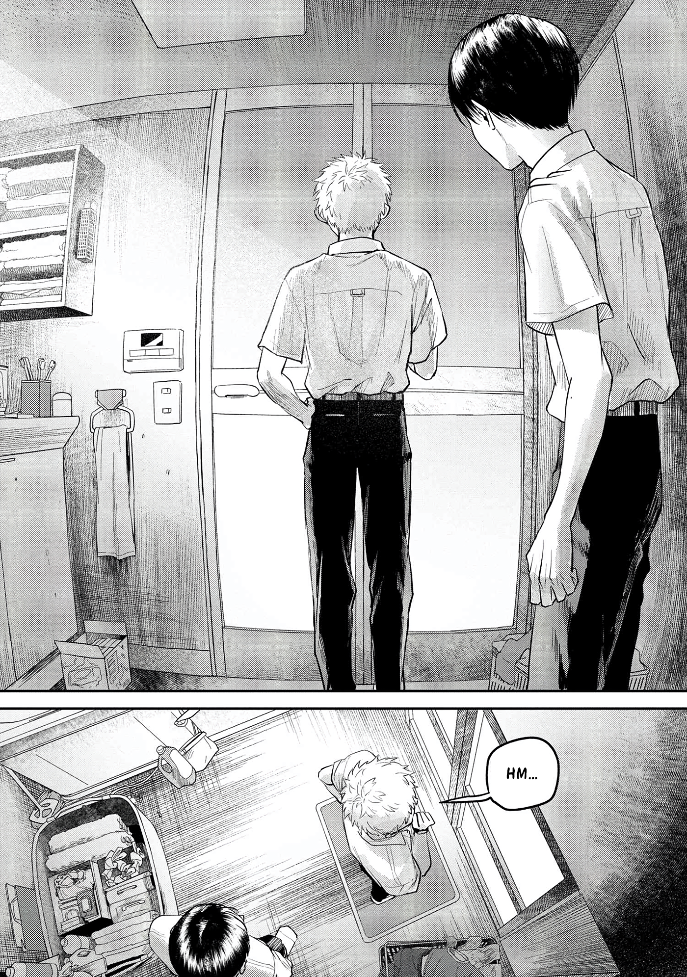 Read The Summer Hikaru Died (en) Manga Online