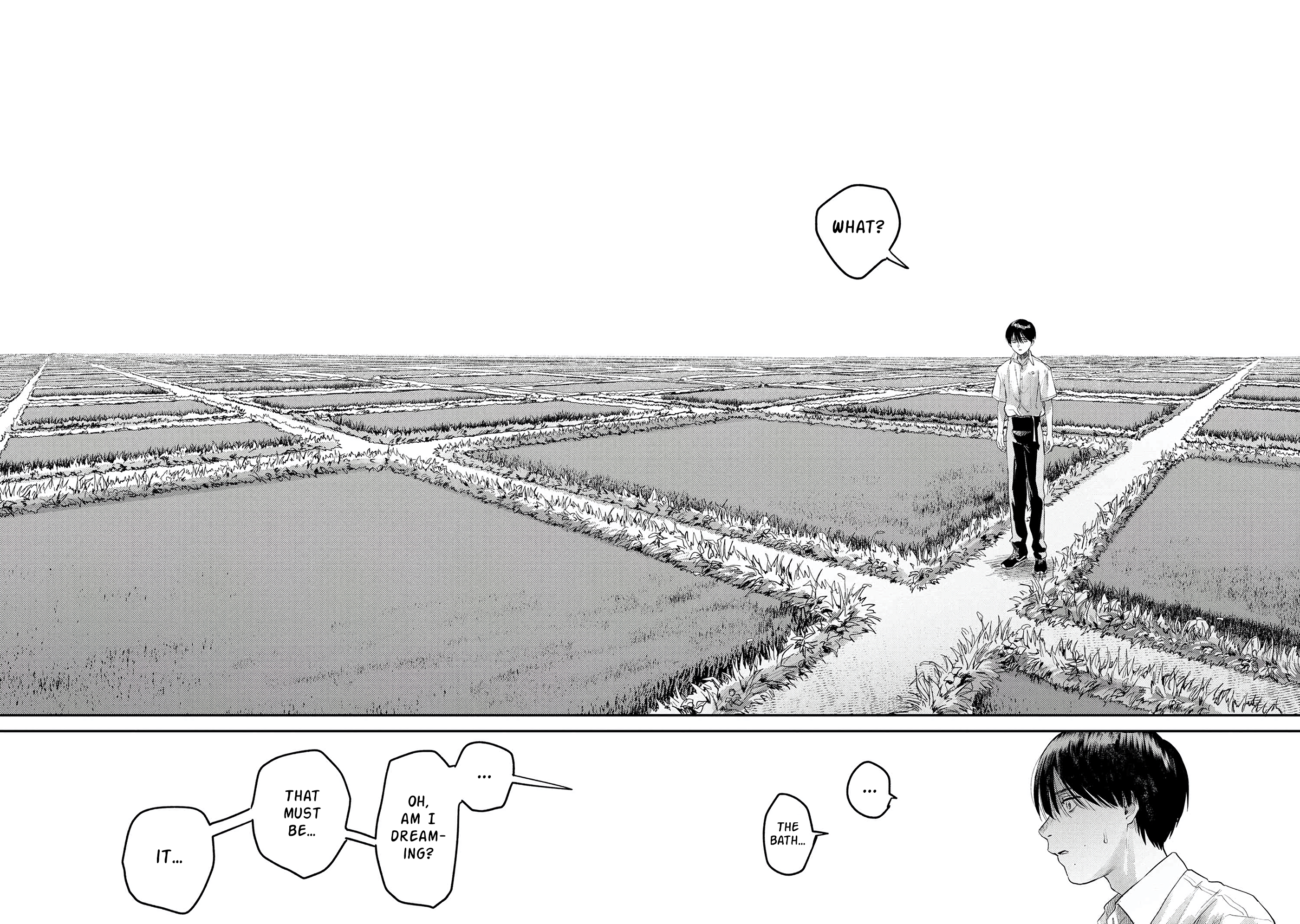 Read The Summer Hikaru Died (en) Manga Online