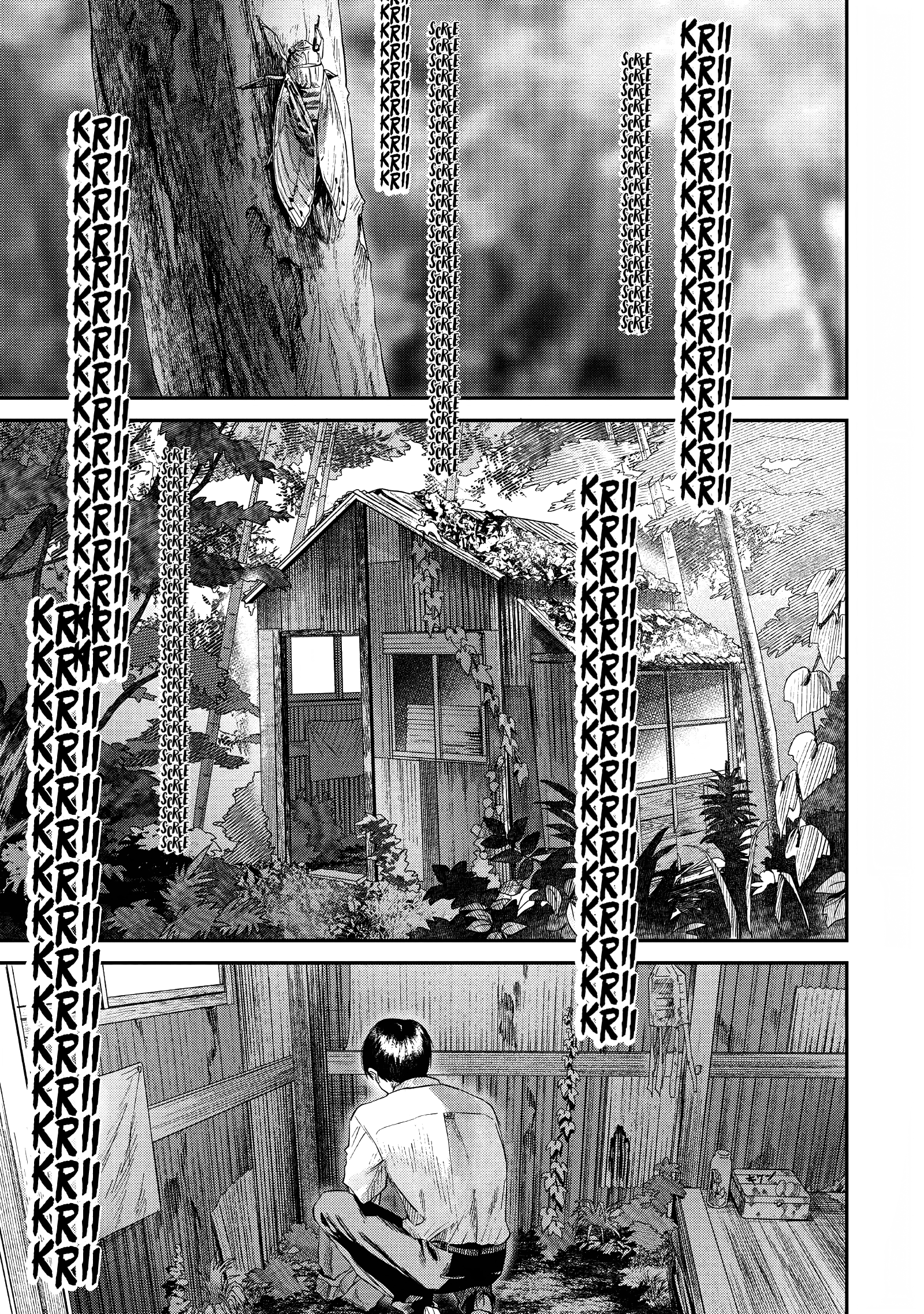 Read The Summer Hikaru Died (en) Manga Online
