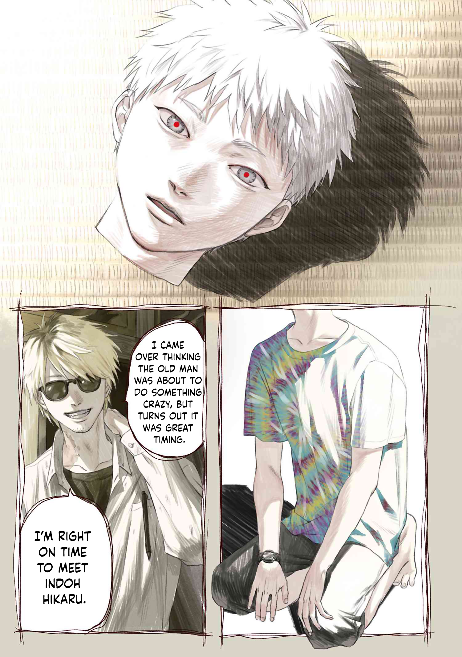 Read The Summer Hikaru Died (en) Manga Online